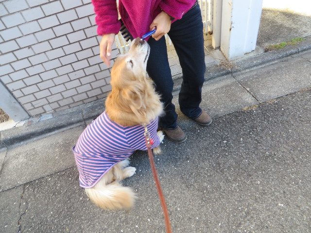 ファイル 3949-4.jpg