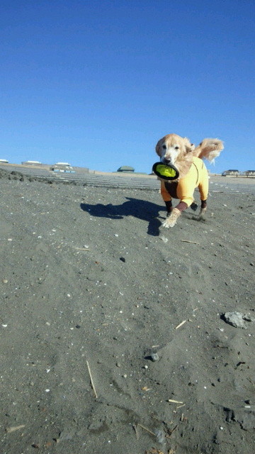 ファイル 3950-4.jpg