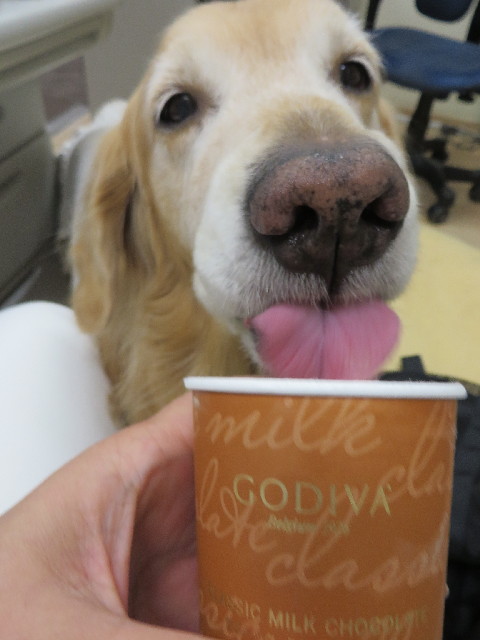 ファイル 3951-4.jpg