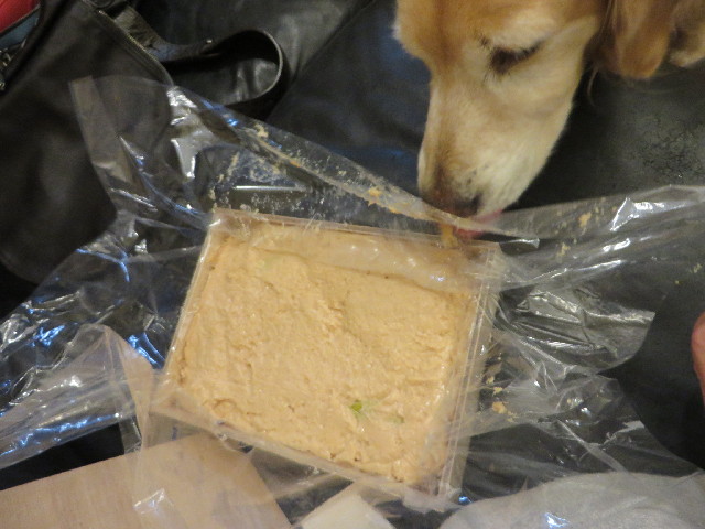 ファイル 3951-5.jpg