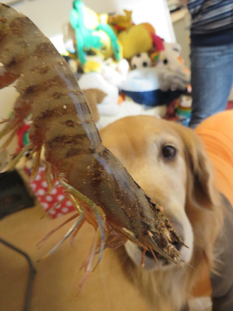 ファイル 3952-2.jpg