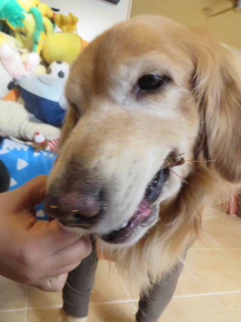 ファイル 3952-3.jpg