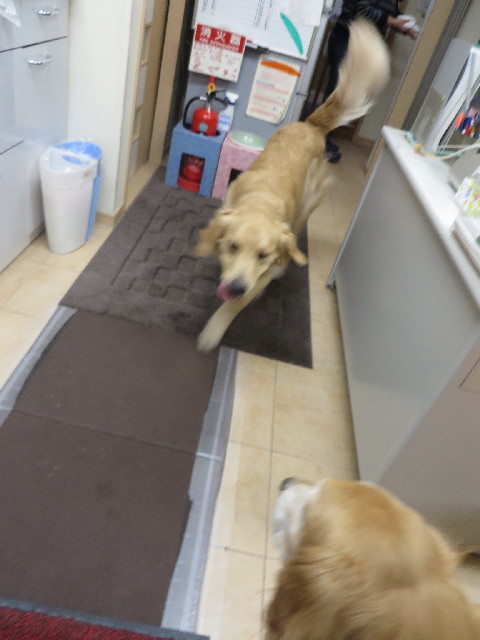 ファイル 3954-2.jpg