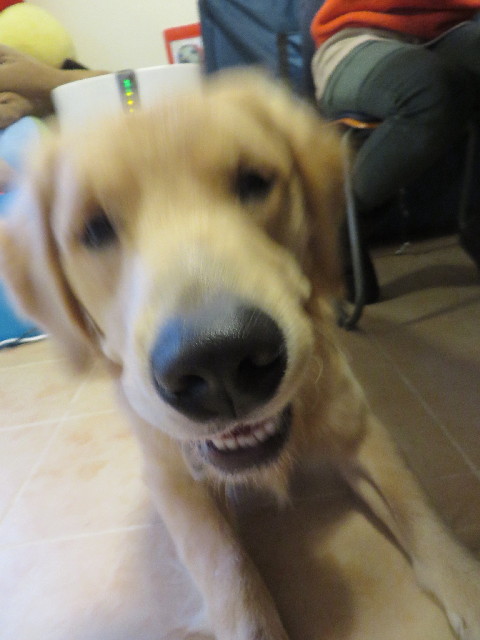 ファイル 3954-3.jpg