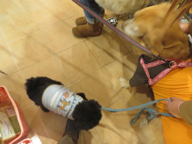 ファイル 3954-4.jpg