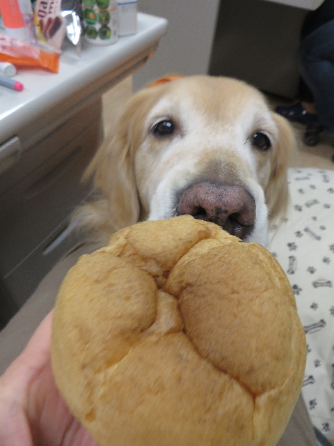 ファイル 3954-5.jpg