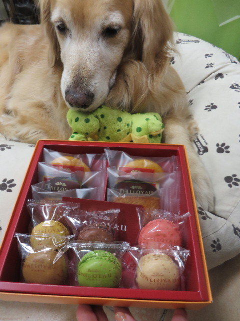 ファイル 3955-4.jpg