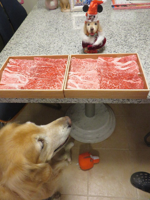 ファイル 3955-5.jpg