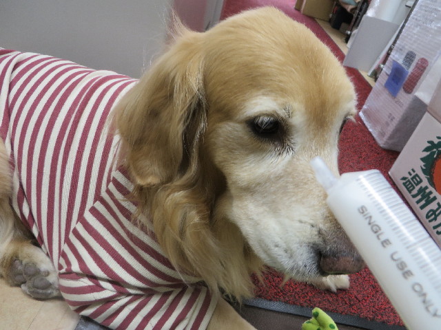 ファイル 3956-2.jpg