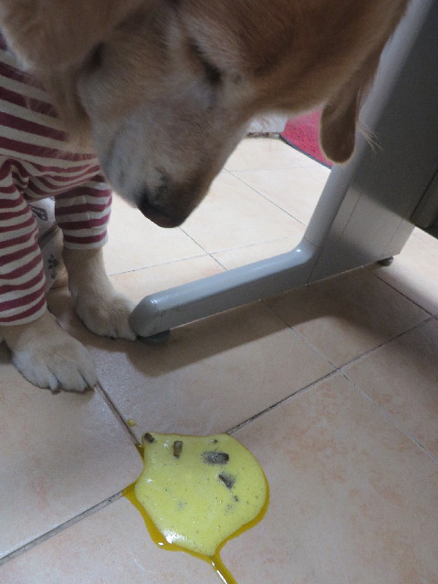 ファイル 3956-3.jpg