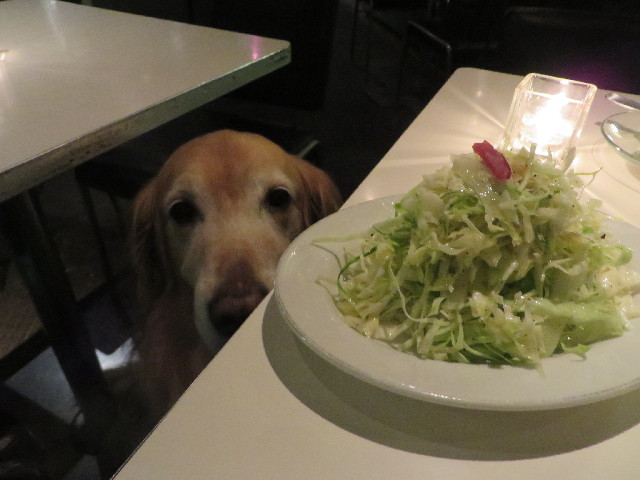 ファイル 3956-5.jpg