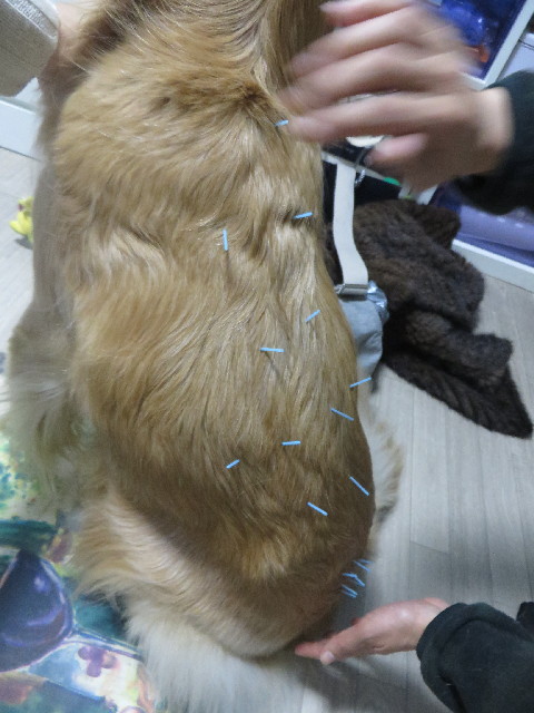 ファイル 3957-1.jpg