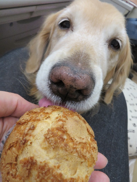 ファイル 3957-5.jpg