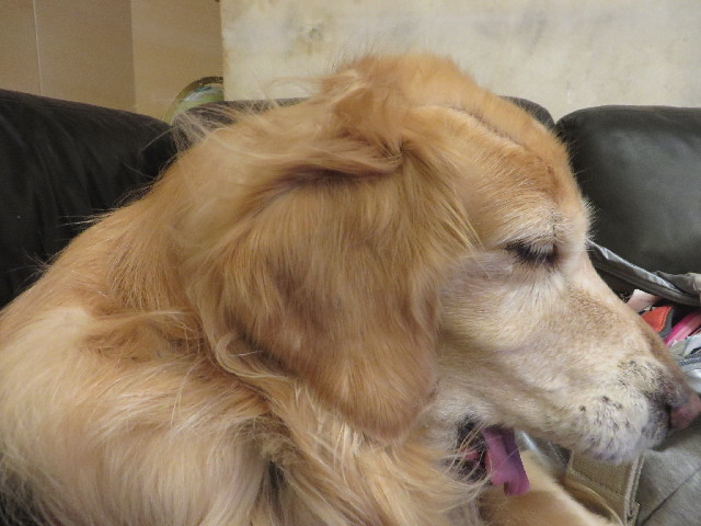 ファイル 3958-2.jpg