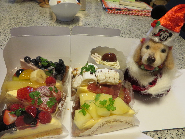 ファイル 3958-5.jpg