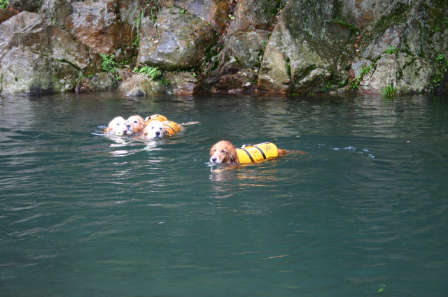 ファイル 396-2.jpg