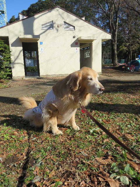 ファイル 3961-5.jpg