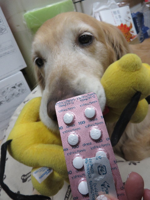 ファイル 3962-3.jpg