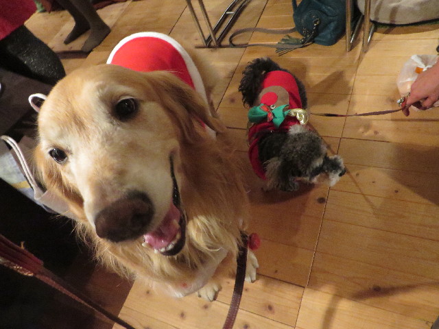 ファイル 3962-4.jpg