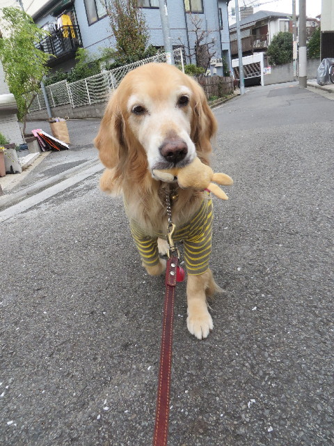 ファイル 3964-1.jpg