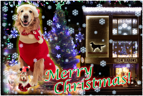 ファイル 3965-1.jpg