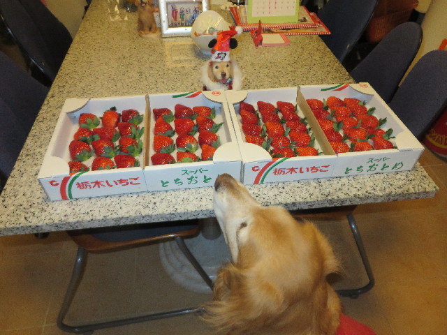 ファイル 3965-4.jpg