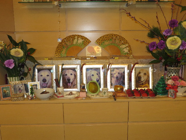 ファイル 3965-5.jpg