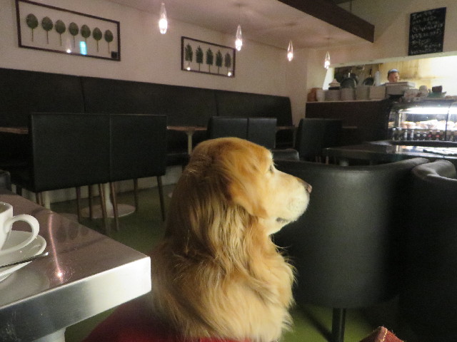 ファイル 3966-2.jpg