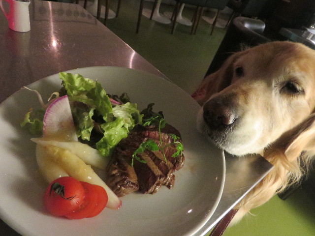 ファイル 3966-3.jpg