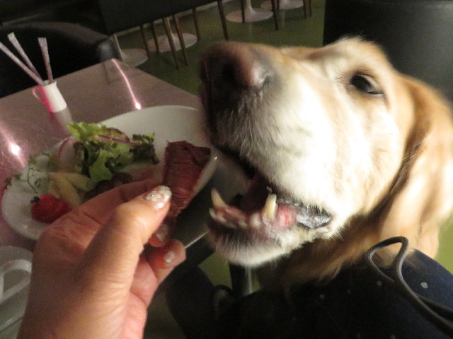 ファイル 3966-4.jpg