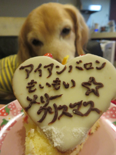 ファイル 3967-2.jpg