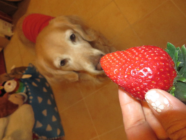 ファイル 3967-4.jpg