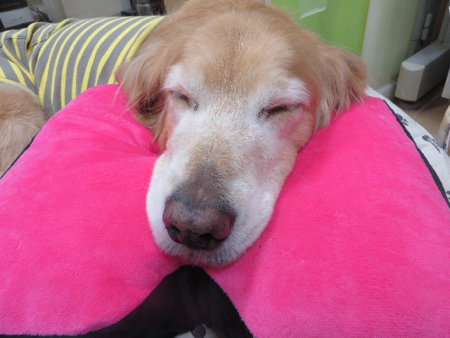 ファイル 3967-5.jpg