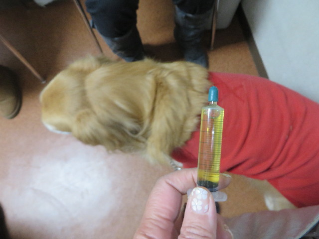 ファイル 3968-1.jpg