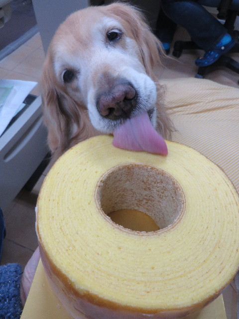 ファイル 3968-5.jpg