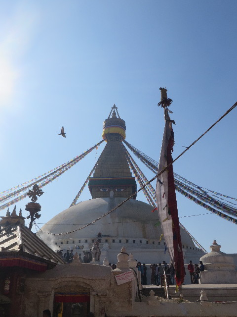 ファイル 3972-2.jpg