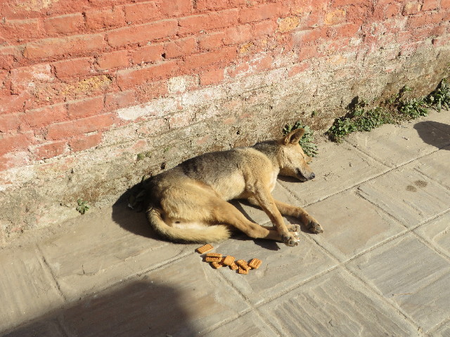 ファイル 3973-1.jpg