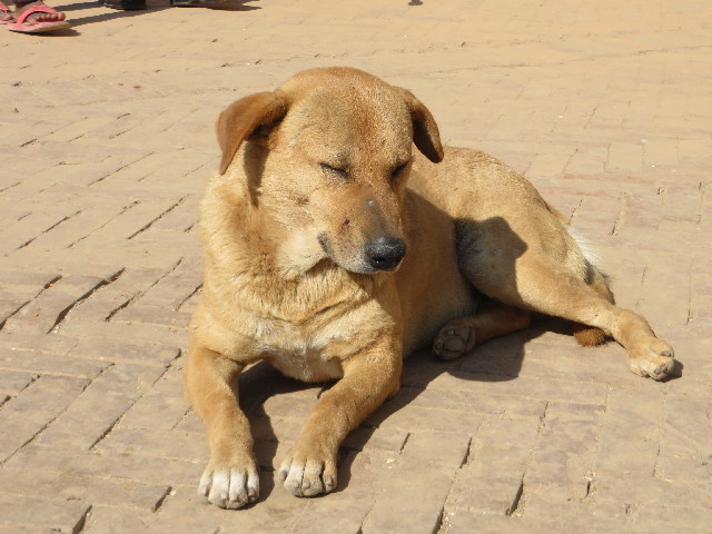 ファイル 3973-3.jpg