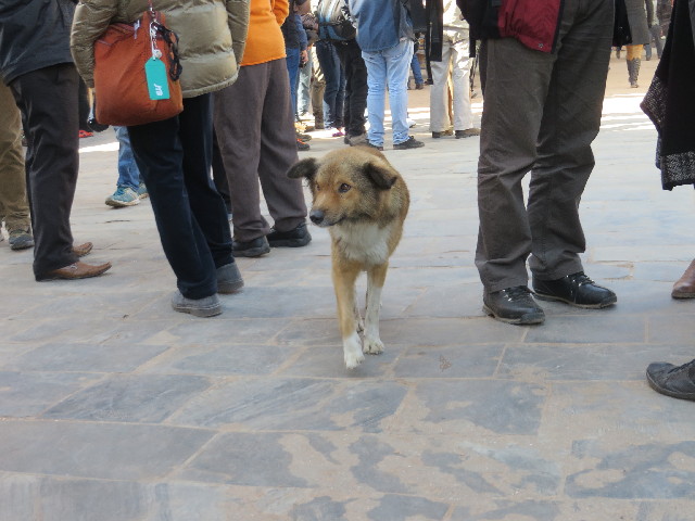 ファイル 3973-5.jpg