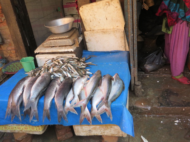 ファイル 3975-3.jpg