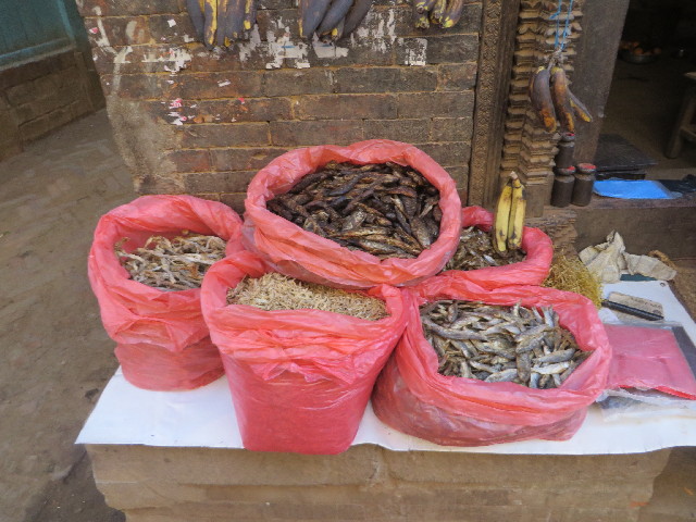 ファイル 3976-1.jpg