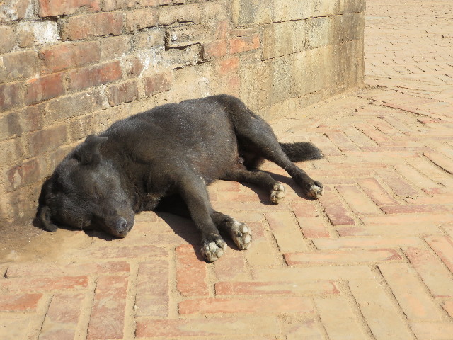 ファイル 3978-1.jpg