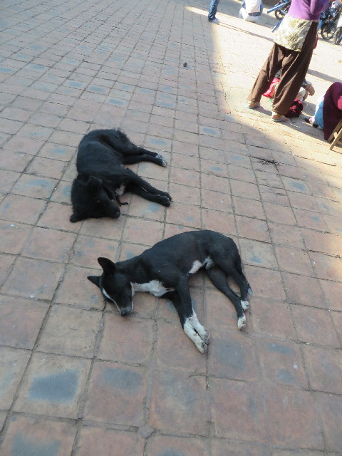 ファイル 3978-3.jpg