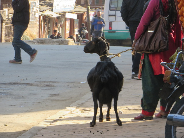 ファイル 3978-5.jpg