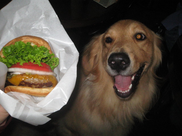 ファイル 398-5.jpg