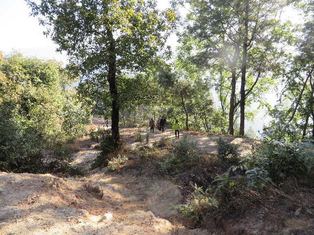 ファイル 3984-1.jpg