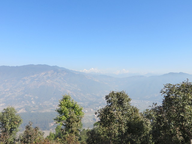 ファイル 3985-1.jpg