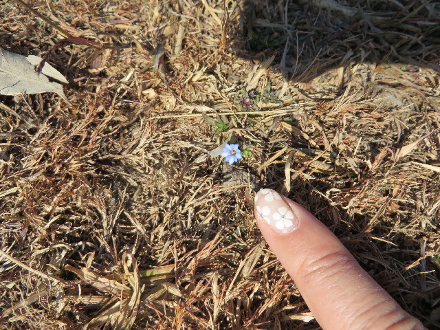 ファイル 3985-2.jpg