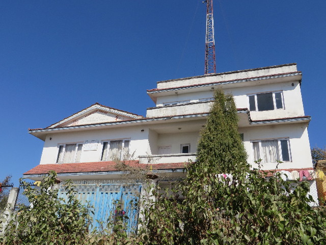 ファイル 3987-1.jpg