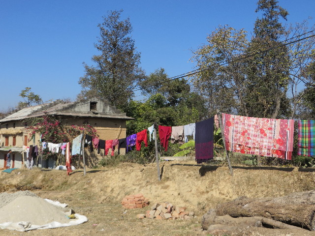 ファイル 3988-5.jpg